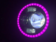 Load image into Gallery viewer, 7" DAYMAKER Black Angel Eye PINK HALO Projector HID LED Light Bulb Headlight Motorcycle Harley