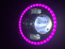 Load image into Gallery viewer, 7&quot; DAYMAKER Black Angel Eye PINK HALO Projector HID LED Light Bulb Headlight Motorcycle Harley