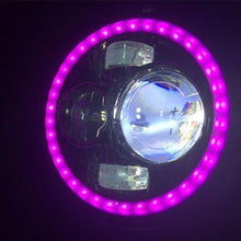 Load image into Gallery viewer, 7&quot; DAYMAKER Black Angel Eye PINK HALO HID LED Light Bulb Headlight Motorcycle Kawasaki Vulcan Nomad 1500 / 1600