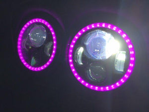 DUAL 7" DAYMAKER 2014  PINK HALO LED Replacement ROAD GLIDE Black Light Bulb Headlight Harley Bezel