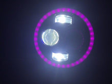 Load image into Gallery viewer, 7&quot; DAYMAKER Black Angel Eye PINK HALO Projector HID LED Light Bulb Headlight Motorcycle Harley