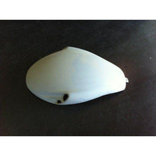 Load image into Gallery viewer, Harley Davidson Sphynx V-Rod VRod Air Box Cover VRSC- Non Painted